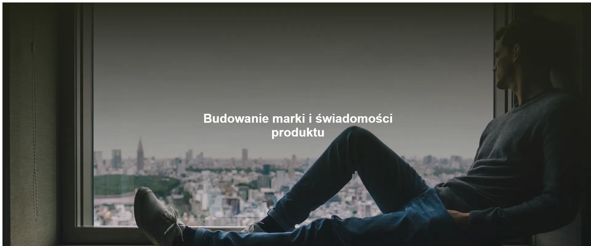 Budowanie marki i świadomości produktu