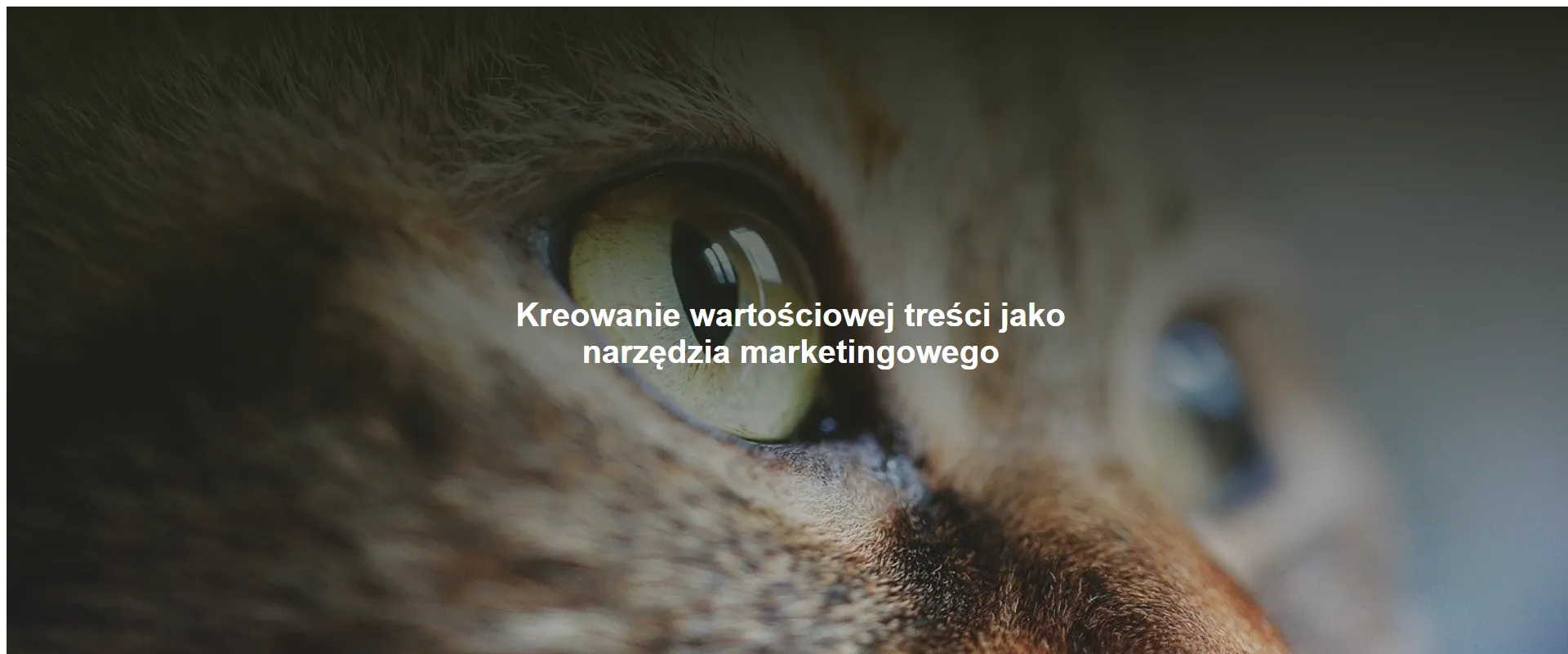 Kreowanie wartościowej treści jako narzędzia marketingowego